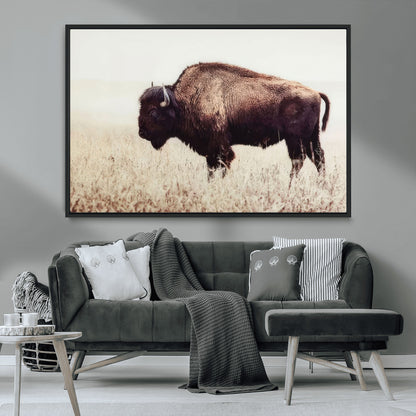 48406-MGV-FC-36X24_Black-American Bison Wall Art – Rustic Buffalo Canvas Print in Prairie Field, Western Wildlife Photography Decor for Cabin, Lodge,