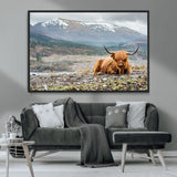 80252-MGV-FC-36X24_Black-Scottish Cow Wall Art Canvas Print, Framed Highland Cow Art Picture Print, Highland Cattle Perfect Rustic Farmhouse Decor Artwork