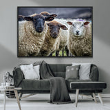 18418-MGV-FC-36X24_Black-Sheep Wall Art Canvas Print, Framed Farmhouse Sheep Art Picture Print, Sheep Herd Perfect Rustic Farmhouse Decor Artwork