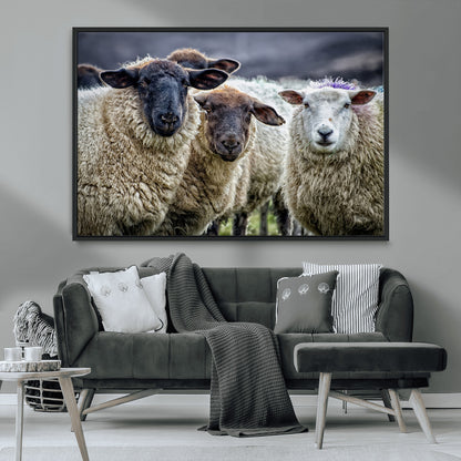 18418-MGV-FC-36X24_Black-Sheep Wall Art Canvas Print, Framed Farmhouse Sheep Art Picture Print, Sheep Herd Perfect Rustic Farmhouse Decor Artwork