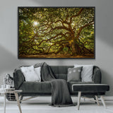 57983-MGV-FC-36X24_Black-Angel Oak Tree Wall Art Canvas Print, Framed Oak Tree Art Picture Print, Angel Oak Perfect Rustic Nature Decor Artwork