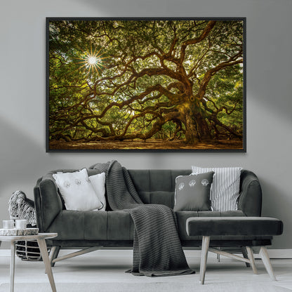 57983-MGV-FC-36X24_Black-Angel Oak Tree Wall Art Canvas Print, Framed Oak Tree Art Picture Print, Angel Oak Perfect Rustic Nature Decor Artwork