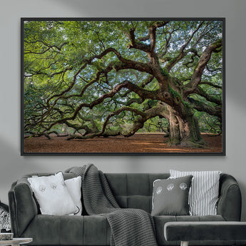 MGV-FC-36X24 - Historic Tree Wall Art Canvas Print, Framed Mossy Tree Art Picture Print, Twisted Branches Perfect Nature Southern Decor Artwork