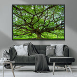 49375306-MGV-CV-36X24-Ancient Tree Wall Art Canvas Print, Framed Sprawling Branches Art Picture Print, Gnarling Tree Perfect Earthy Natural Decor