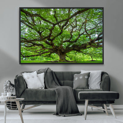 49375306-MGV-CV-36X24-Ancient Tree Wall Art Canvas Print, Framed Sprawling Branches Art Picture Print, Gnarling Tree Perfect Earthy Natural Decor