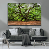 51255351-MGV-CV-36X24-Ancient Tree Wall Art – Majestic Oak Canvas Print, Large Nature Photography, Sacred Forest Landscape Wall Décor, Wisdom Tree