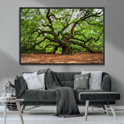 51255351-MGV-CV-36X24-Ancient Tree Wall Art – Majestic Oak Canvas Print, Large Nature Photography, Sacred Forest Landscape Wall Décor, Wisdom Tree