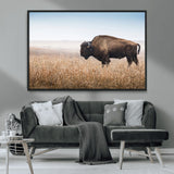 99620201-MGV-CV-36X24-Wild Bison Wall Art Canvas Print, Framed Bison in Prairie Art Picture Print, Rustic Western Perfect Rustic Western Decor Artwork