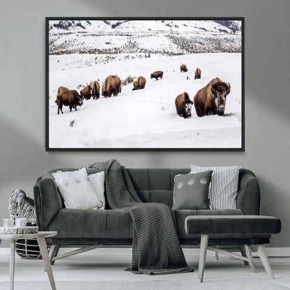 13891210-MGV-CV-36X24-Bison Herd Scene Wall Art Canvas Print, Framed Western Wildlife Decor Art Picture Print, Snowy Mountain Valley Perfect Rustic