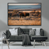 39509187-MGV-CV-36X24-Western Wildlife Wall Art Canvas Print, Framed Bison Art Picture Print, Golden Hour Perfect Western Rustic Decor Artwork