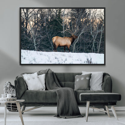 36533178-MGV-CV-36X24-Wild Elk Photography Wall Art Canvas Print, Framed Winter Wildlife Art Picture Print, Snowy Forest Perfect Rustic Lodge Decor
