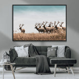81594705-MGV-CV-36X24-Elk Herd Wall Art Canvas Print, Framed Wildlife Photography Art Picture Print, Rustic Nature Print Perfect Rustic Wildlife Decor
