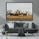 42170220-MGV-CV-36X24-Elk Herd Wall Art Canvas Print, Framed Wildlife Photography Art Picture Print, Majestic Antlers Perfect Rustic Wildlife Decor