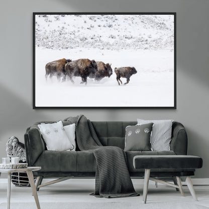 61161423-MGV-CV-36X24-Running Bison Herd Wall Art – Winter Buffalo Canvas Print, Wildlife Photography Decor for Rustic Living Room, Farmhouse, Lodge,