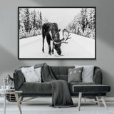 38956835-MGV-FC-36X24_Black-Moose Winter Snowy Forest Canvas Wall Art – Wildlife Nature, Antlers in Frozen Landscape, Quiet Path, Cold Season Outdoors Print