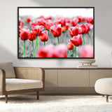 44554-MGV-CV-36X24-Vibrant red tulips stand out beautifully against a black-and-white background, making a striking decor piece perfect for any home