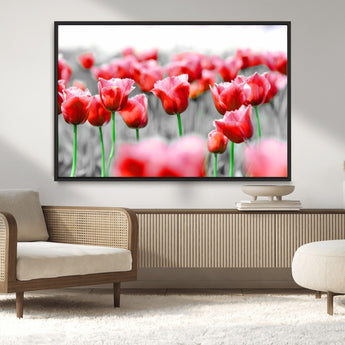 44554-MGV-CV-36X24-Vibrant red tulips stand out beautifully against a black-and-white background, making a striking decor piece perfect for any home