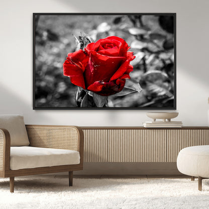84671-MGV-CV-36X24-Red Rose Wall Art – Vibrant Single Bloom Canvas Print with Black and White Background, Elegant Floral Decor for Living Room,