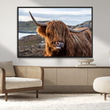71222-MGV-CV-36X24-A playful Highland cow with shaggy fur sticks out its tongue, set against a rugged landscape — perfect for quirky home or office