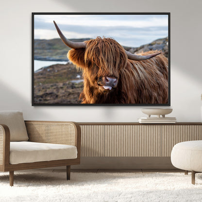 71222-MGV-CV-36X24-A playful Highland cow with shaggy fur sticks out its tongue, set against a rugged landscape — perfect for quirky home or office