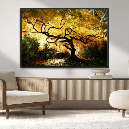19067-MGV-CV-36X24-Golden Canopy Wall Art – Panoramic Autumn Tree Canvas Print, Warm Seasonal Decor for Living Room, Office or Garden Space