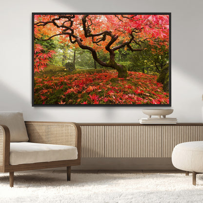 73343-MGV-CV-36X24-Autumn Maple Wall Art – Panoramic Vibrant Red Maple Tree Canvas Print, Seasonal Nature Decor for Office, Living Room or Garden