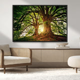 52150-MGV-CV-36X24-Majestic Tree Wall Art – Large Nature Canvas Print with Sunlight Through Branches, Rustic Forest Decor for Living Room, Bedroom or