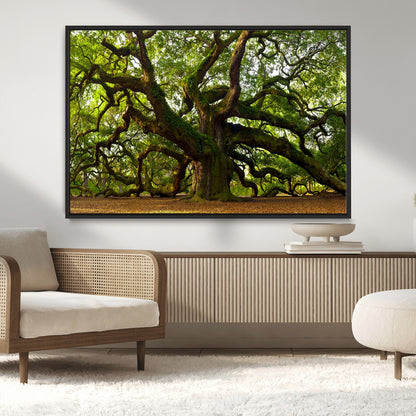 29407-MGV-CV-36X24-Ancient Oak Tree Wall Art – Majestic Nature Canvas Print, Large Tree Photography Decor for Living Room or Office