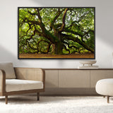 29407-MGV-CV-36X24-Ancient Oak Tree Wall Art – Majestic Nature Canvas Print, Large Tree Photography Decor for Living Room