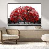 80021-MGV-CV-36X24-Red Tree Wall Art – Striking Black and White Landscape Canvas Print with Vibrant Red Leaves, Modern Nature Decor for Living Room