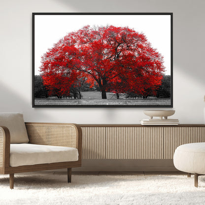 80021-MGV-CV-36X24-Red Tree Wall Art – Striking Black and White Landscape Canvas Print with Vibrant Red Leaves, Modern Nature Decor for Living Room
