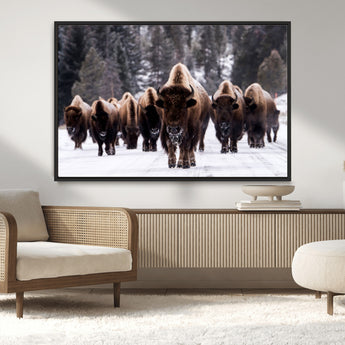 66871-MGV-CV-36X24-Bison Herd Wall Art – Wildlife Buffalo Canvas Print, Rustic Western Nature Photography Decor for Living Room, Office, Cabin, or