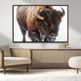 65605-MGV-CV-36X24-Snow Bison Wall Art – Close Up Buffalo Canvas Print, Rustic Western Wildlife Photography, Farmhouse Cabin Lodge Decor for Living