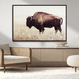 48406-MGV-CV-36X24-American Bison Wall Art – Rustic Buffalo Canvas Print in Prairie Field, Western Wildlife Photography Decor for Cabin, Lodge,