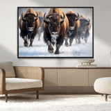 80512-MGV-CV-36X24-Bison Herd Wall Art – Buffalo Running in Snow Canvas Print, Rustic Wildlife Photography Decor for Cabin, Lodge, or Living Room