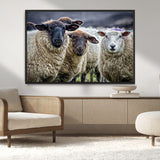 18418-MGV-CV-36X24-Sheep Wall Art Canvas Print, Framed Farmhouse Sheep Art Picture Print, Sheep Herd Perfect Rustic Farmhouse Decor Artwork