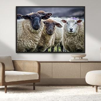 18418-MGV-CV-36X24-Sheep Wall Art Canvas Print, Framed Farmhouse Sheep Art Picture Print, Sheep Herd Perfect Rustic Farmhouse Decor Artwork