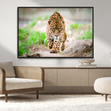 75066-MGV-CV-36X24-Leopard Wall Art Canvas Print, Framed Wild Animal Art Picture Print, Blue Eye Leopard Perfect Wild Minimal Decor Artwork