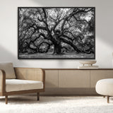 132944706-MGV-CV-36X24-Ancient Tree Wall Art – Black and White Photography Canvas Print Featuring Majestic Twisting Branches, Rustic Nature Artwork for