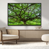 49375306-MGV-CV-36X24-Ancient Tree Wall Art Canvas Print, Framed Sprawling Branches Art Picture Print, Gnarling Tree Perfect Earthy Natural Decor