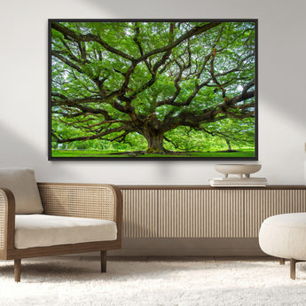 49375306-MGV-CV-36X24-Ancient Tree Wall Art Canvas Print, Framed Sprawling Branches Art Picture Print, Gnarling Tree Perfect Earthy Natural Decor
