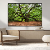 51255351-MGV-CV-36X24-Ancient Tree Wall Art – Majestic Oak Canvas Print, Large Nature Photography, Sacred Forest Landscape Wall Décor, Wisdom Tree
