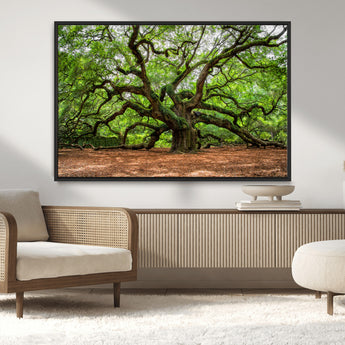 51255351-MGV-CV-36X24-Ancient Tree Wall Art – Majestic Oak Canvas Print, Large Nature Photography, Sacred Forest Landscape Wall Décor, Wisdom Tree