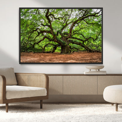 51255351-MGV-CV-36X24-Ancient Tree Wall Art – Majestic Oak Canvas Print, Large Nature Photography, Sacred Forest Landscape Wall Décor, Wisdom Tree