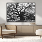 81655611-MGV-CV-36X24-Ancient Oak Wall Art Canvas Print, Framed Twisted Branches Art Picture Print, Gnarled Tree Perfect Moody Nature Decor Artwork