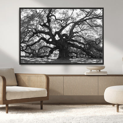 81655611-MGV-CV-36X24-Ancient Oak Wall Art Canvas Print, Framed Twisted Branches Art Picture Print, Gnarled Tree Perfect Moody Nature Decor Artwork