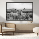 24051061-MGV-CV-36X24-Monochrome Highland Cow Wall Art Canvas Print, Framed Scottish Bull Art Picture Print, Lone Cattle Perfect Rustic Farmhouse Decor