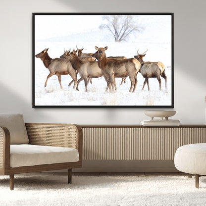 68738684-MGV-CV-36X24-Winter Elk Scene Wall Art Canvas Print, Framed Wildlife Photography Art Picture Print, Snowy Deer Decor Perfect Rustic Lodge Decor
