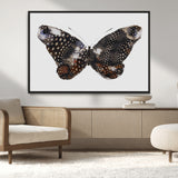 99831147-MGV-FC-36X24_Black-Spotted Butterfly Wall Art Canvas Print, Framed Neutral Insect Theme Art Picture Print, Earthy Wing Pattern Perfect Modern Rustic