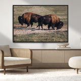 58141885-MGV-CV-36X24-Bison Photography Wall Art Canvas Print, Framed Western Wildlife Art Picture Print, Modern Ranch Perfect Western Rustic Decor